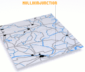 3d view of Mullikin Junction