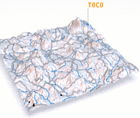 3d view of Toco