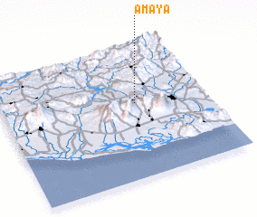 3d view of Amaya