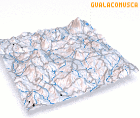 3d view of Gualacomusca