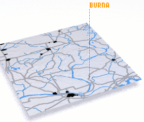 3d view of Burna