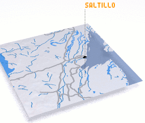 3d view of Saltillo