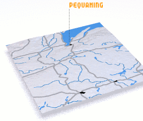 3d view of Pequaming