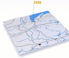 3d view of Zeba