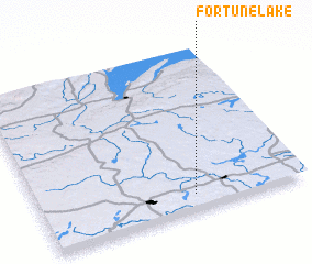 3d view of Fortune Lake