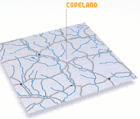 3d view of Copeland