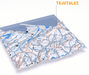 3d view of Tejutales