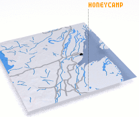 3d view of Honey Camp