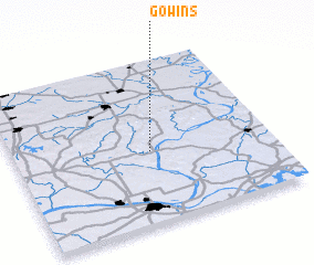 3d view of Gowins