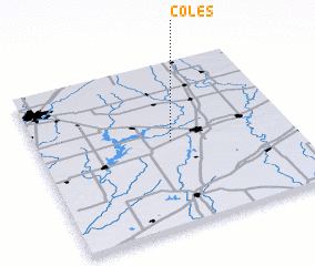 3d view of Coles