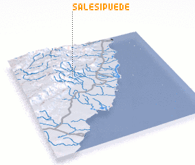 3d view of Sale si Puede