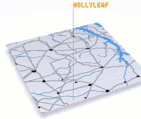 3d view of Holly Leaf