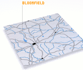 3d view of Bloomfield