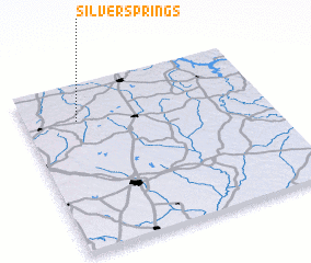 3d view of Silver Springs