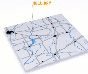 3d view of Holliday