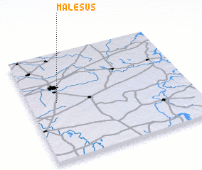 3d view of Malesus