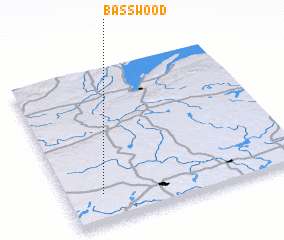 3d view of Basswood