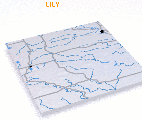 3d view of Lily