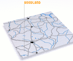 3d view of Woodland