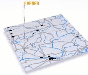 3d view of Forman