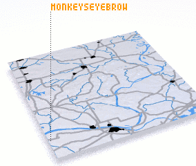 3d view of Monkeys Eyebrow