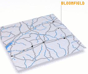 3d view of Bloomfield