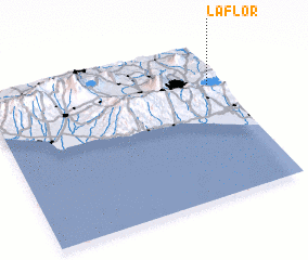 3d view of La Flor