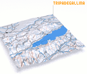 3d view of Tripa de Gallina