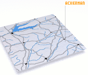 3d view of Ackerman