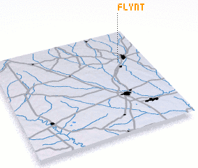 3d view of Flynt