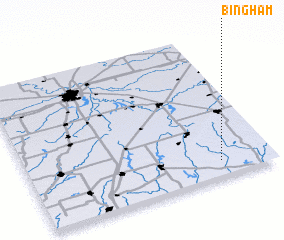 3d view of Bingham