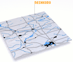 3d view of Neshkoro