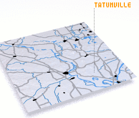 3d view of Tatumville