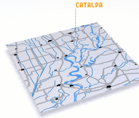 3d view of Catalpa