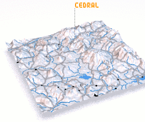3d view of Cedral