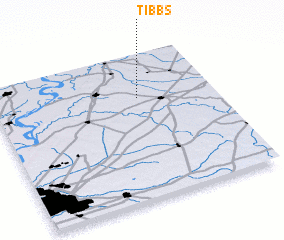 3d view of Tibbs