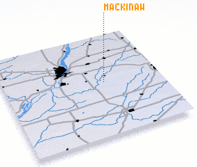 3d view of Mackinaw