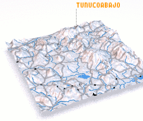 3d view of Tunucó Abajo