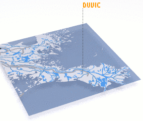 3d view of Duvic