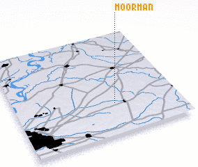 3d view of Moorman