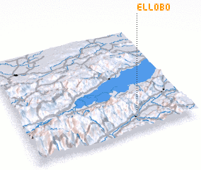 3d view of El Lobo