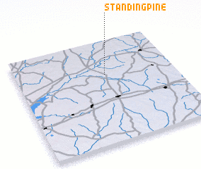 3d view of Standing Pine