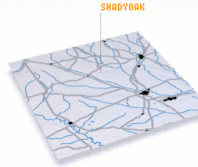 3d view of Shady Oak