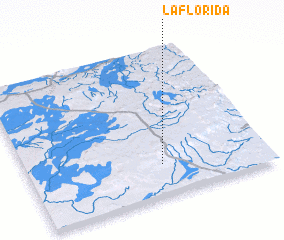 3d view of La Florida