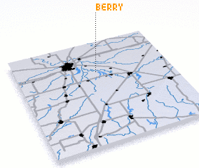 3d view of Berry