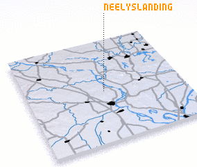 3d view of Neelys Landing