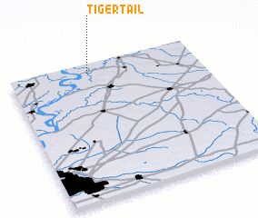 3d view of Tiger Tail