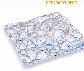 3d view of Cerro de Flores