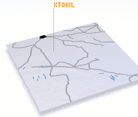 3d view of Xtokil