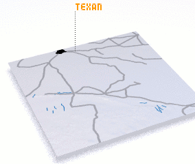 3d view of Texan